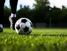 库利巴利续,约那不勒斯,在即,太阳城,太阳城娱乐,太阳城app,太阳城赌场