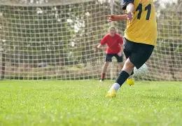 哈维考虑沙,特报价,欲多比较其,太阳城,太阳城娱乐,太阳城app,太阳城赌场