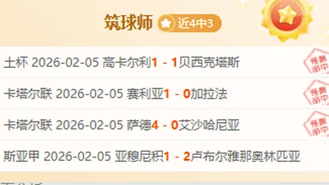 《揭秘澳超精髓：专业剖析，资深洞察，信心满满深度解读》